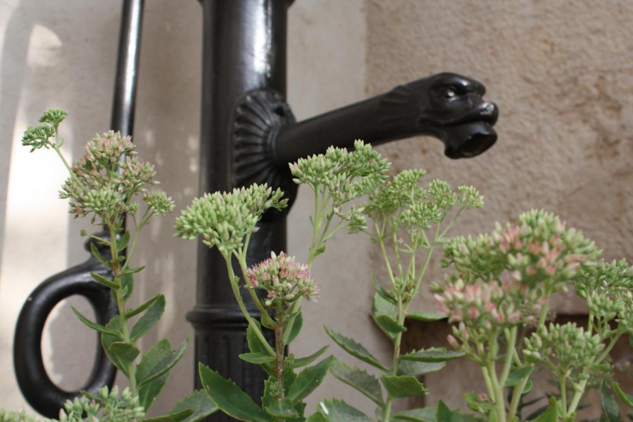 Le 14 Faubourg Bed & Breakfast Beaune  Ngoại thất bức ảnh